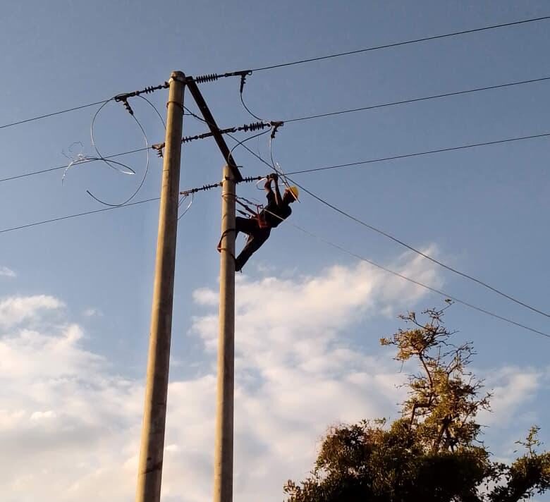 WhatsApp Image 2026-07-14 at 09.37.46